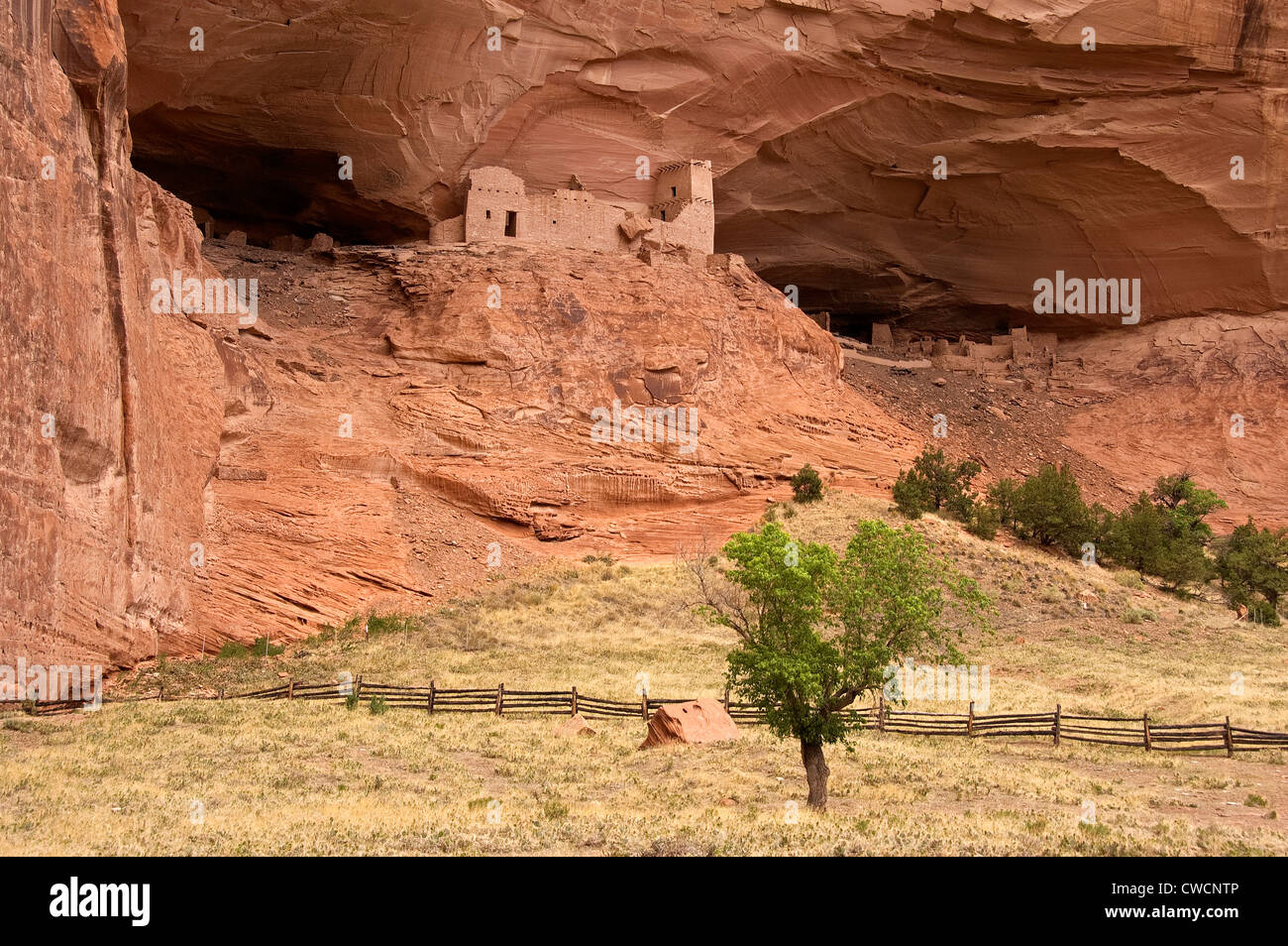 Elk288-1267 Arizona, Canyon De Chelly National Monument, Canyon del Muerto, mummia grotta rovina, XII c Foto Stock