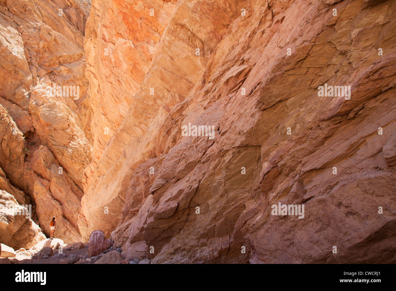 Un escursionista in slot canyon in Lake Mead National Recreation Area, vicino a Las Vegas, Nevada. (Modello rilasciato) Foto Stock