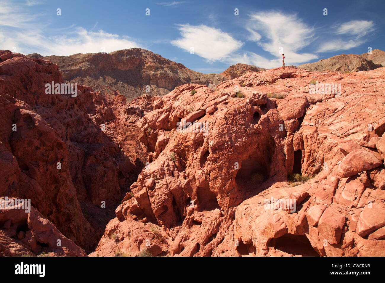 Escursionismo in Lake Mead National Recreation Area, vicino a Las Vegas, Nevada. (Modello rilasciato) Foto Stock