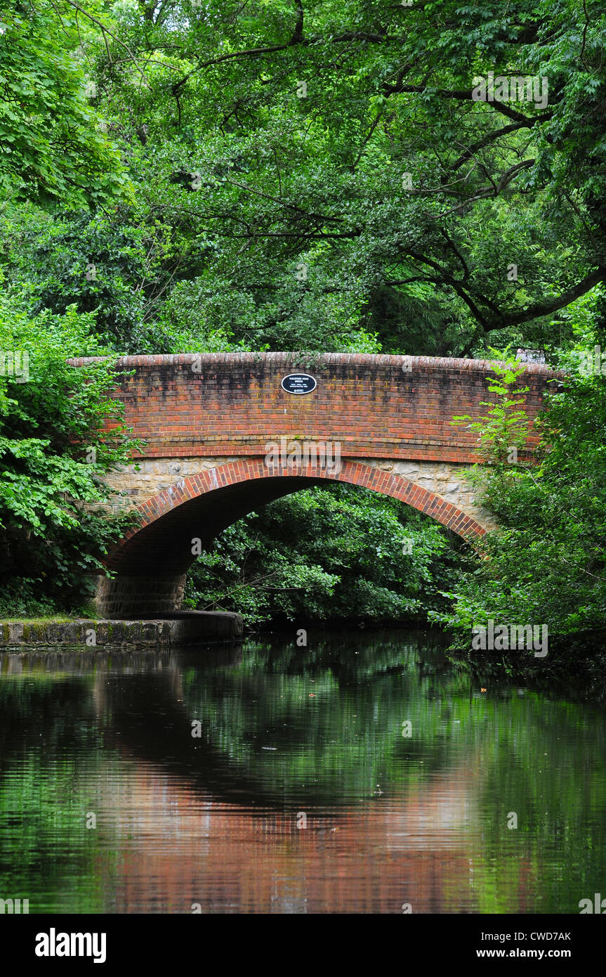 Un ponte sul canale di Basingstoke Regno Unito per via navigabile Foto Stock