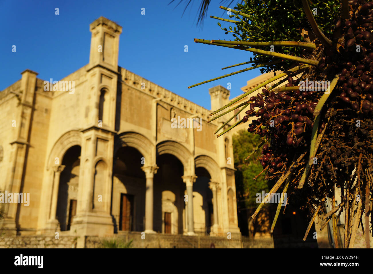 Vista di un palmare Palm con la chiesa di Santa Maria della catena in background Foto Stock