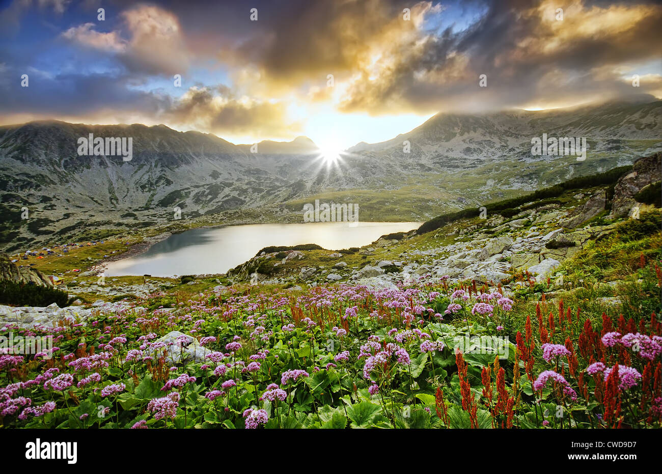 Tramonto in Retezat mountain, Carpazi romeni. autunno vista lago e fiori Foto Stock