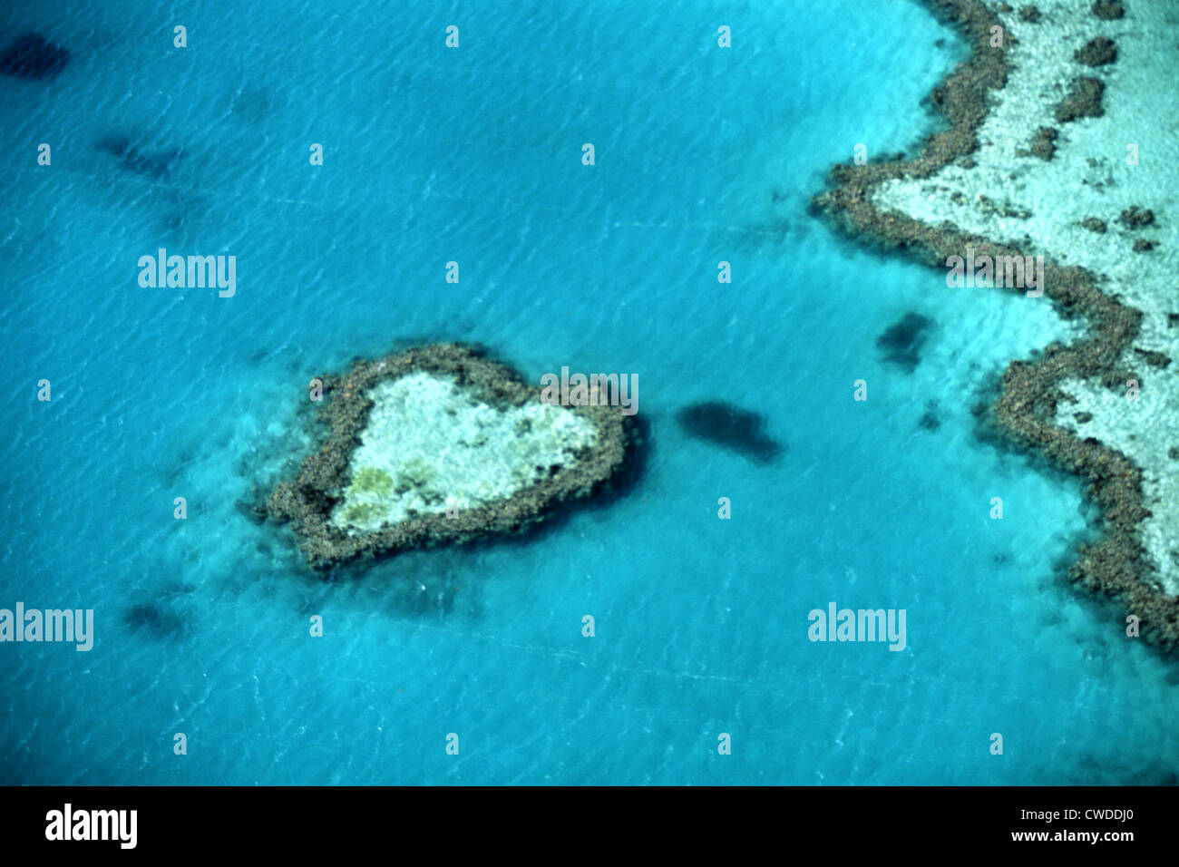A forma di cuore, isola della Grande barriera corallina Foto Stock