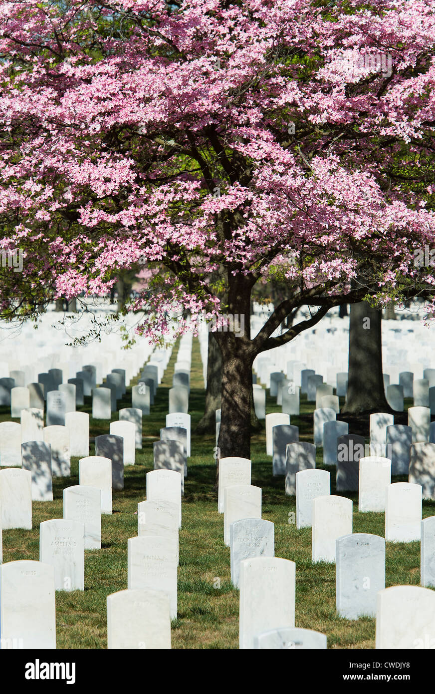 Beverly Cimitero Nazionale, Beverly, New Jersey Foto Stock