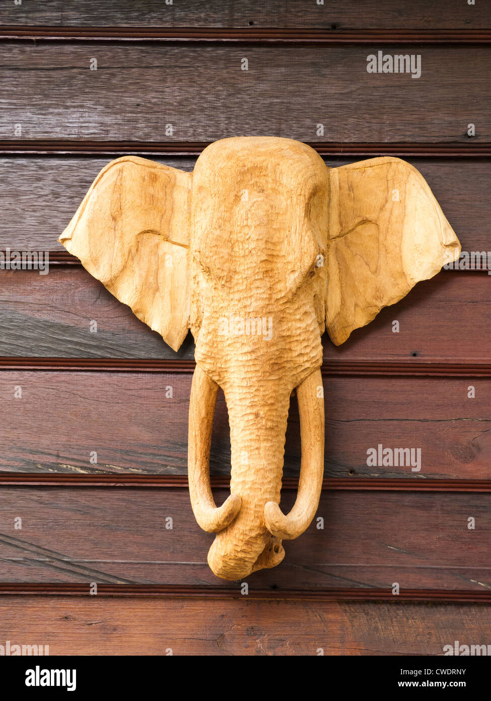 Testa di elefante scultura in legno Foto Stock