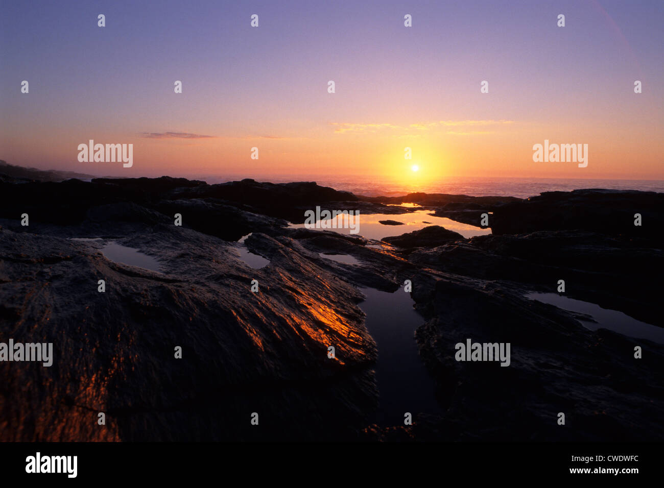 Tramonto sull'oceano atlantico riflette in pozze di marea a due luci di stato parco vicino a Portland, ME Foto Stock