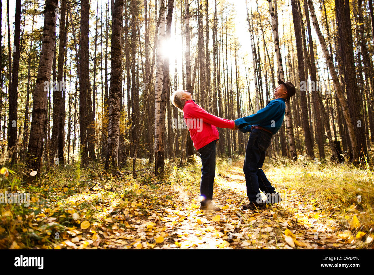 Una felice coppia in pensione a ridere e sorridere mentre su una escursione attraverso una foresta durante la caduta in Idaho. Foto Stock