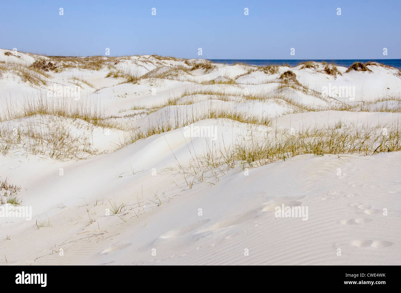 Le dune di sabbia che si estende verso horizon in Currituck County, Outer Banks, Carolina del Nord Foto Stock