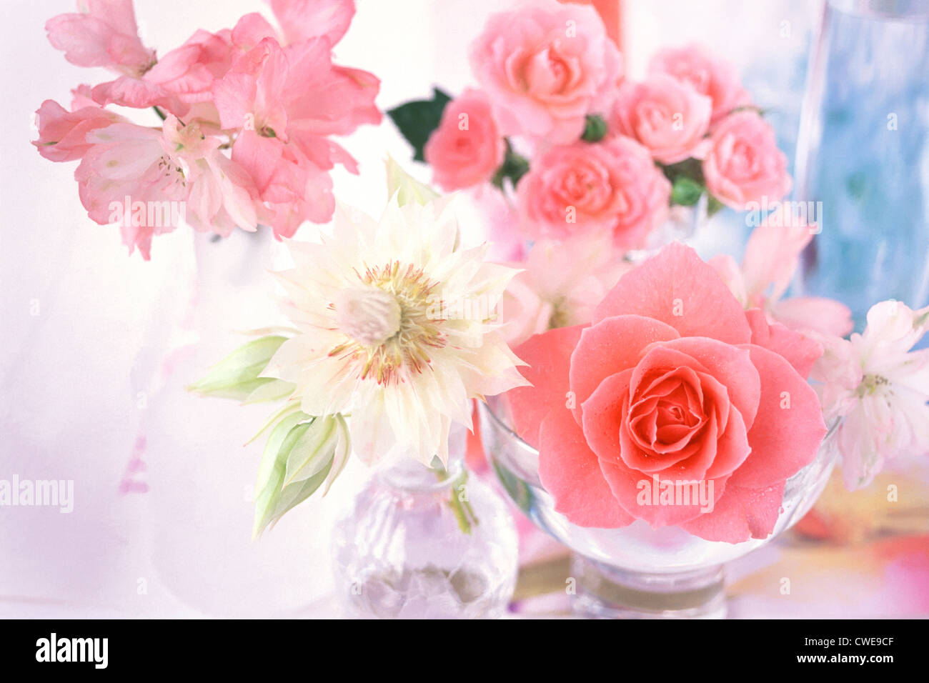 Le rose rosa in vaso di vetro Foto Stock