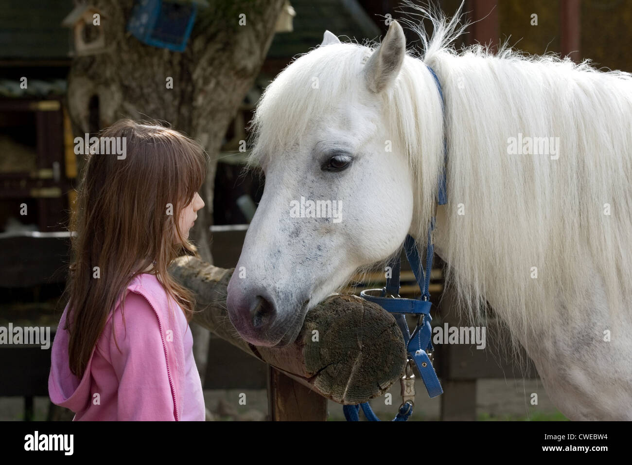 Wandlitz, ragazza e pony Foto Stock
