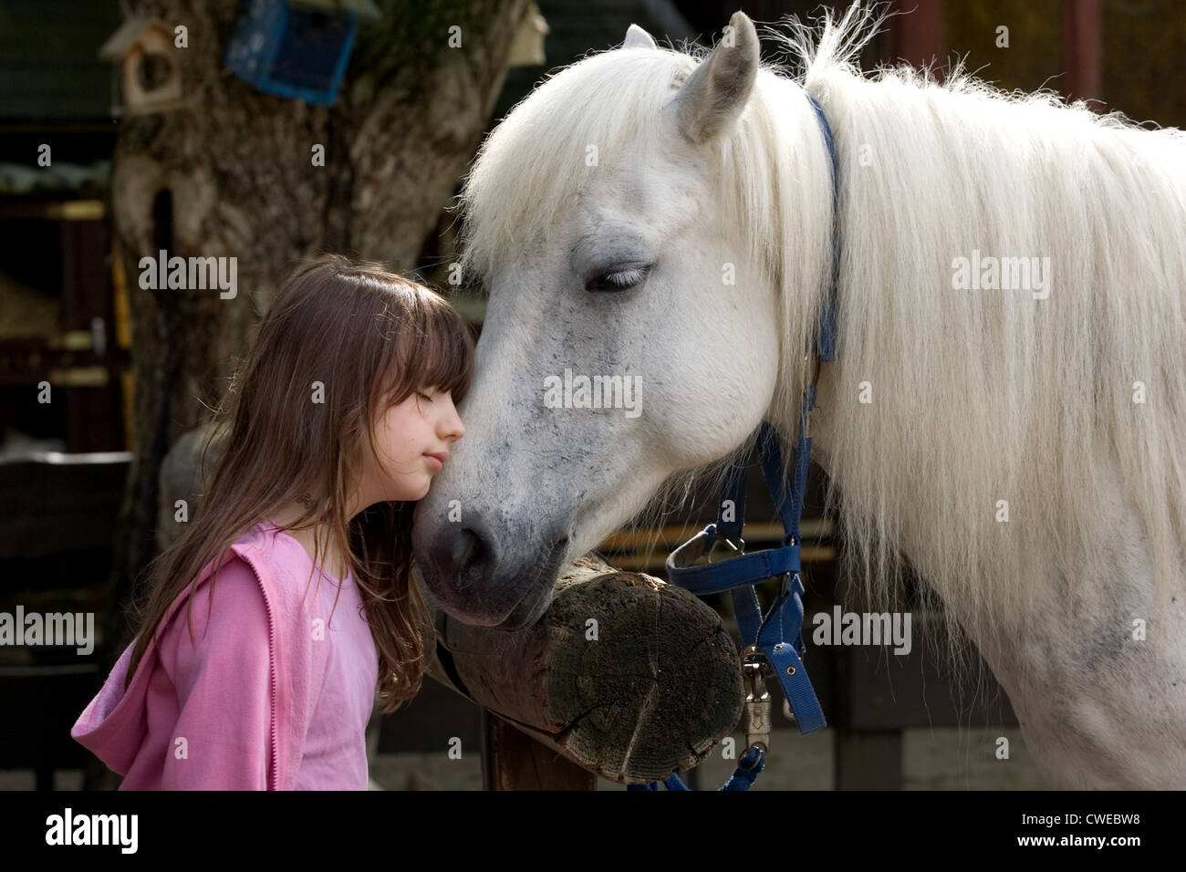 Wandlitz ragazza di coccole con il suo pony Foto Stock