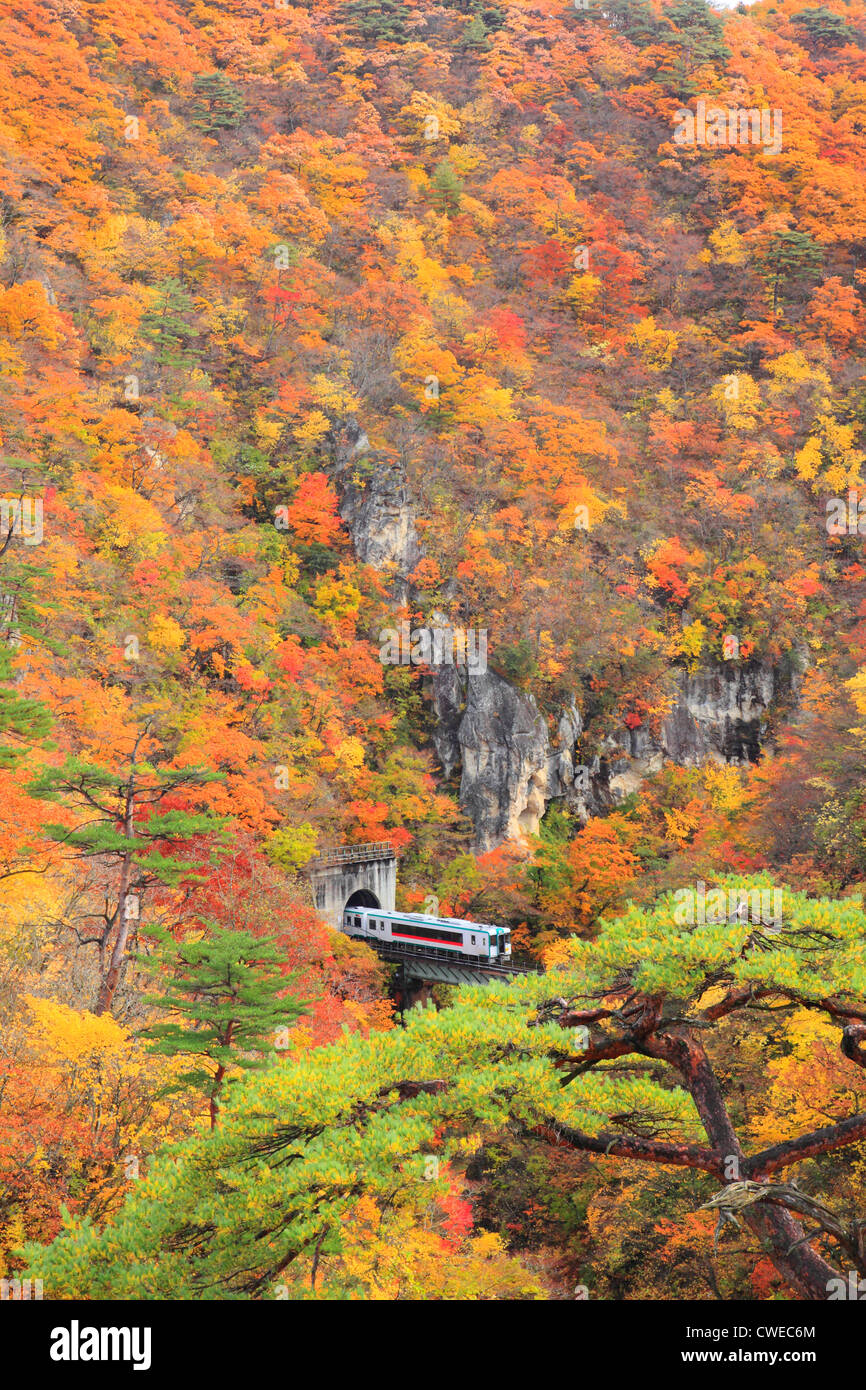 Il treno attraversa Ponte in foresta, Autunno Foto Stock