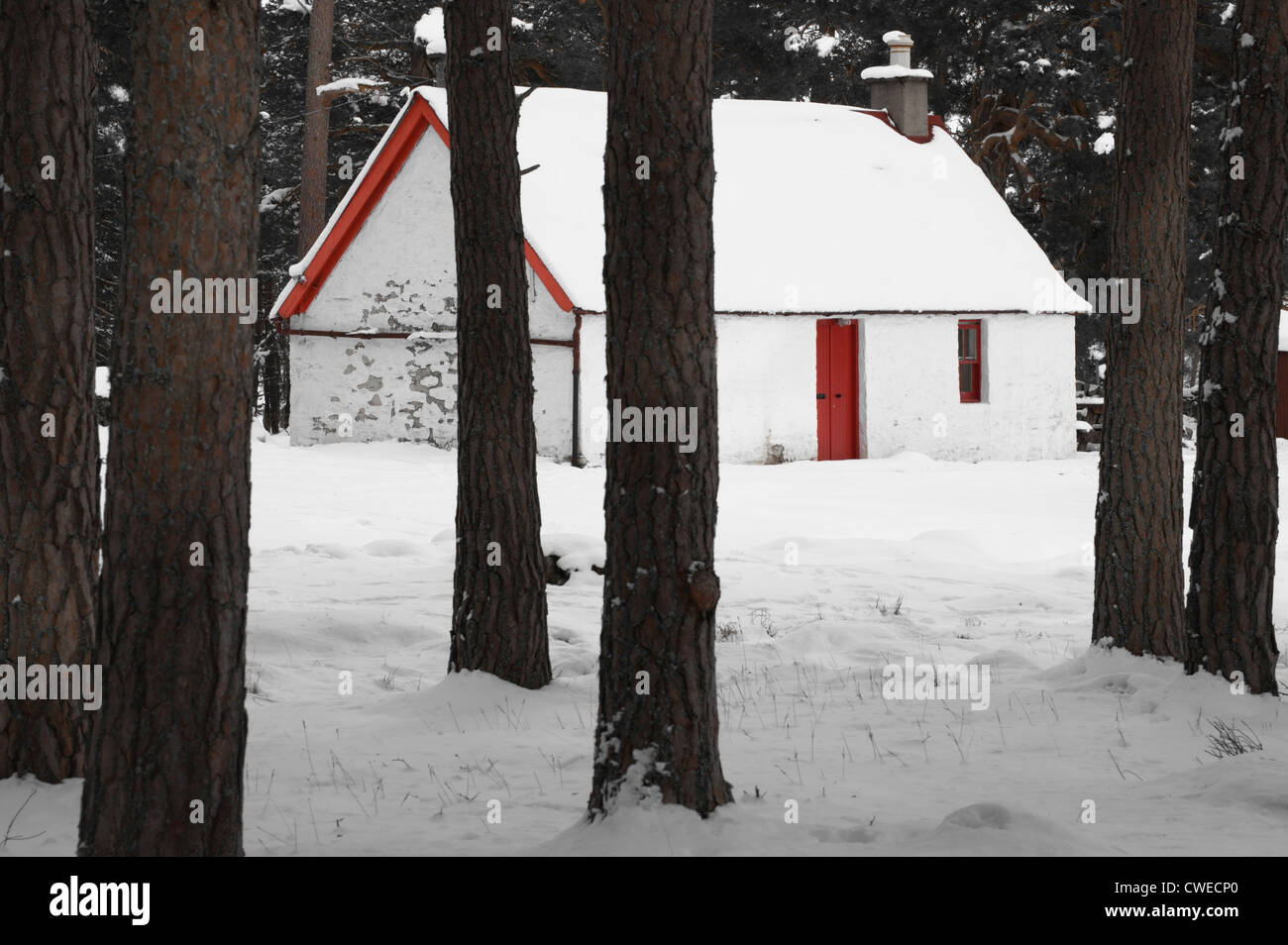 Cottage con red porta in legno. Inverey, vicino a Braemar, Deeside, Aberdeenshire, Scotland, Regno Unito. Foto Stock