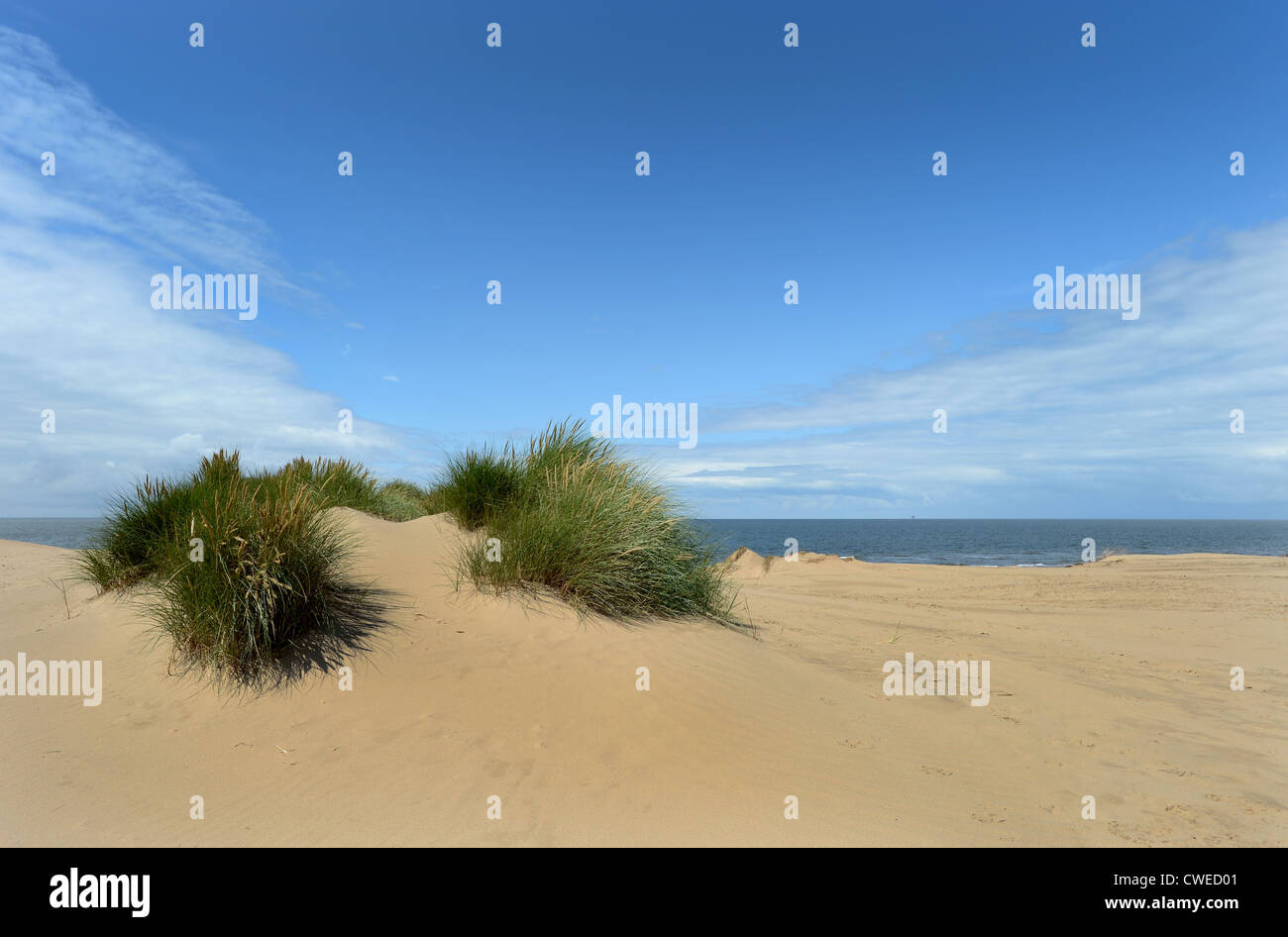 Formby dune di sabbia sulla costa nord ovest Inghilterra Foto Stock