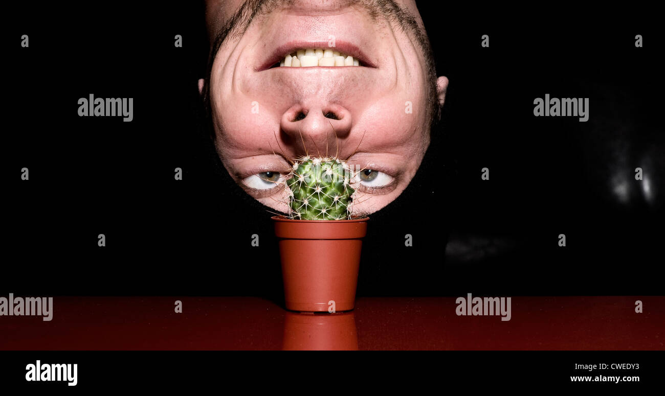 Cactus,thorn,umorismo,bizzarro,headstand Foto Stock