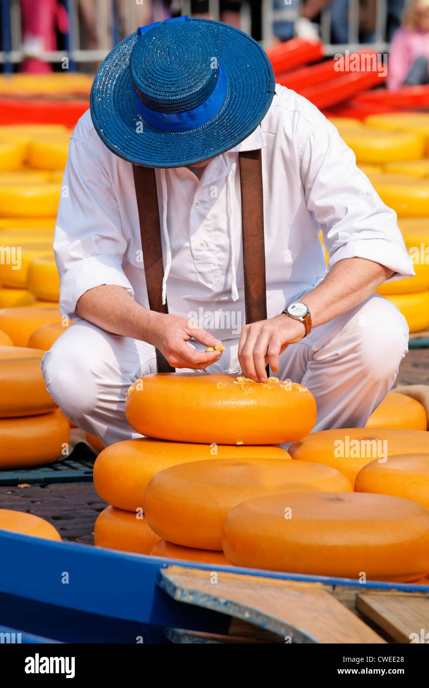 Formaggio di campionamento portante formaggio Gouda a Alkmaar Cheesemarket, Alkmaar, North Holland, Paesi Bassi. Foto Stock