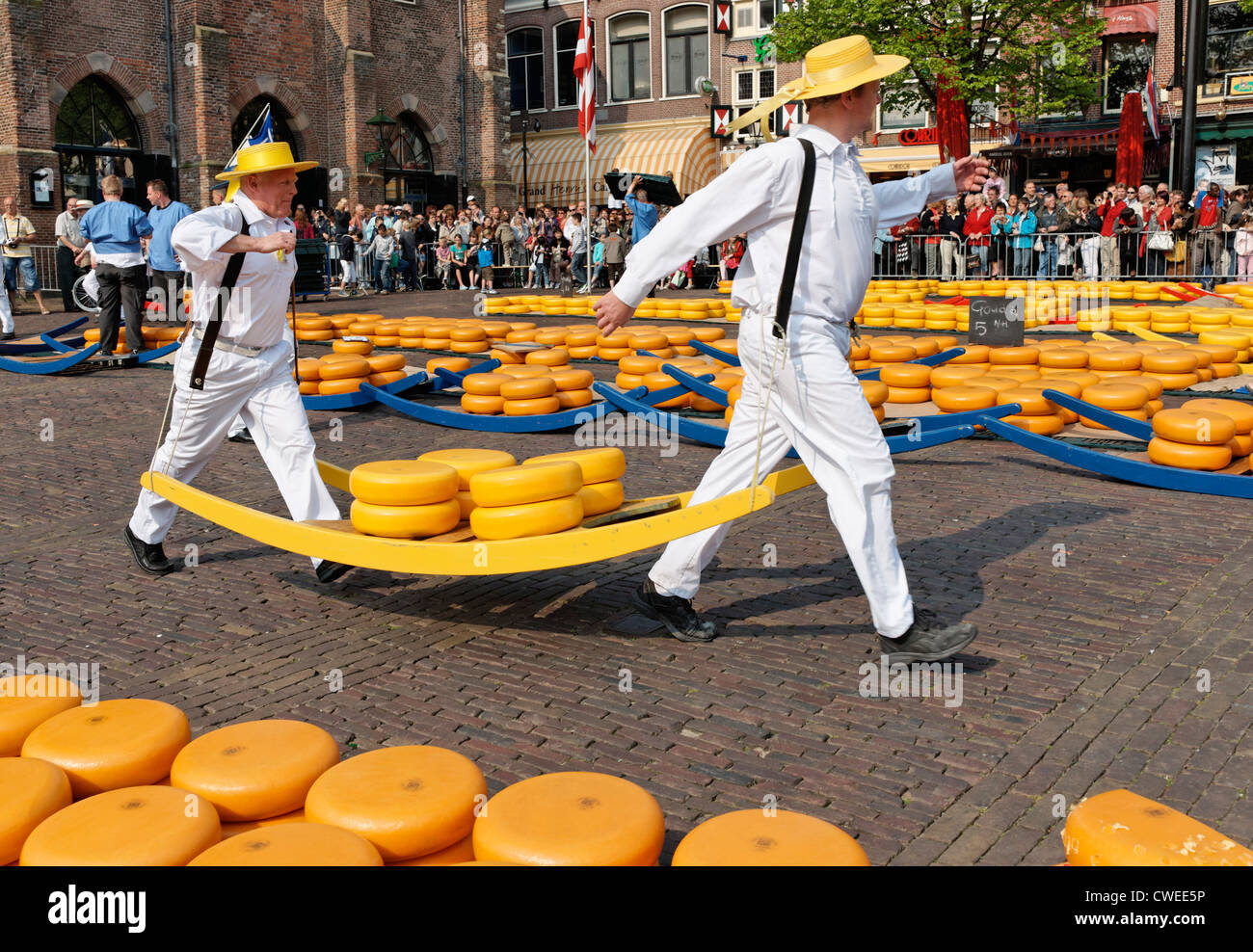 Formaggio portanti a Alkmaar Cheesemarket, Alkmaar, North Holland, Paesi Bassi. Foto Stock
