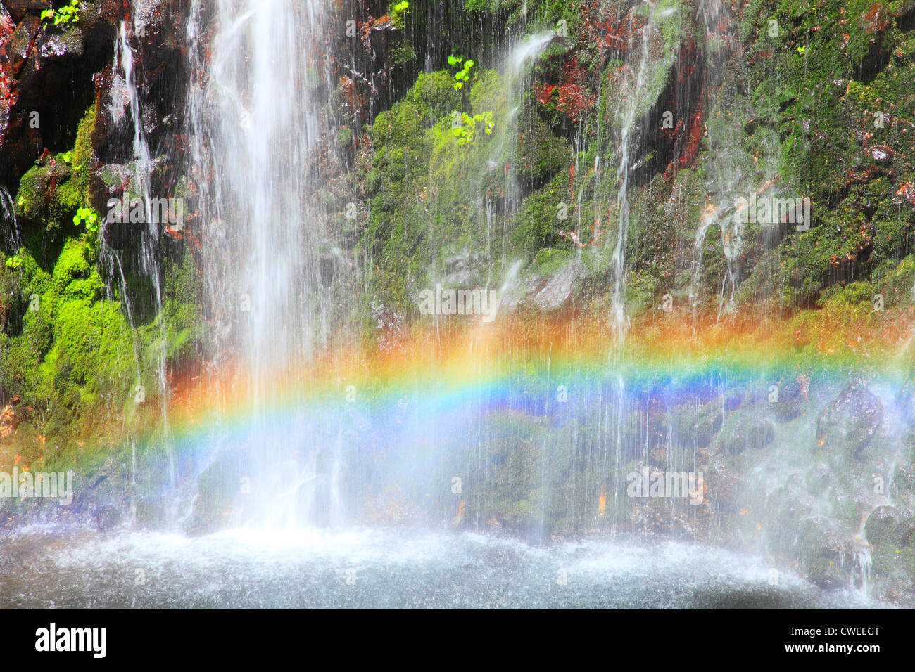 Rainbow e cascate, Moss rocce coperte Foto Stock