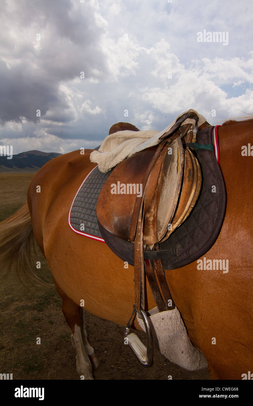 Sella sul cavallo al maneggio di Castelluccio in Italia Foto Stock