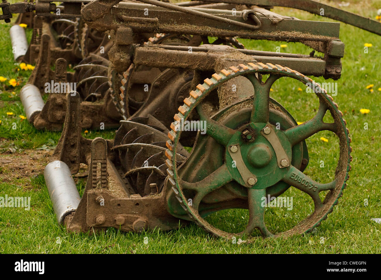 Orticoltura trattori industriali tosaerba per i campi di calcio e di grandi motivi di erba Foto Stock