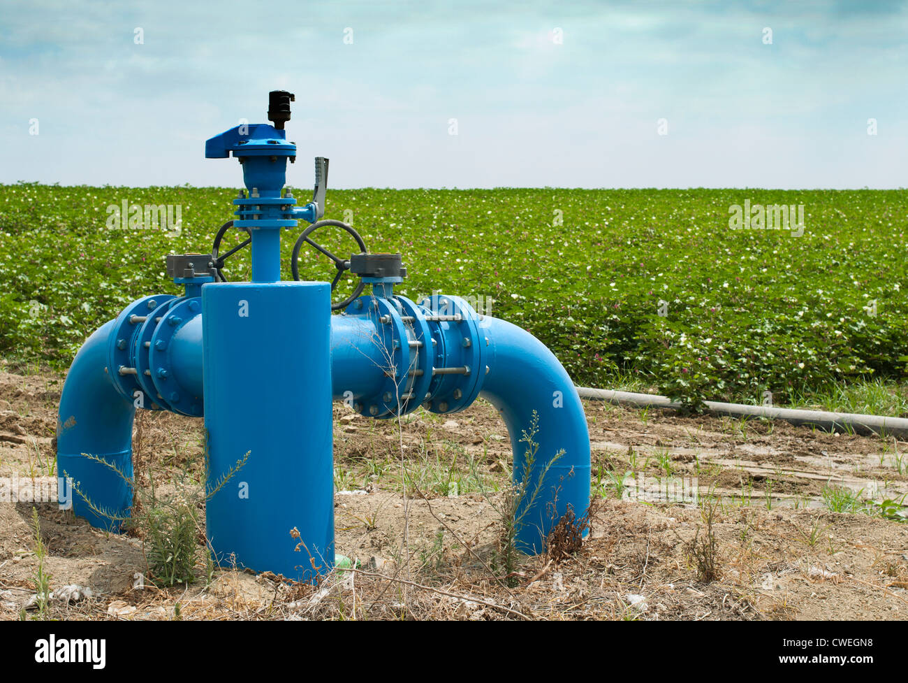 I sistemi di irrigazione e rubinetti per irrigazione. Foto Stock