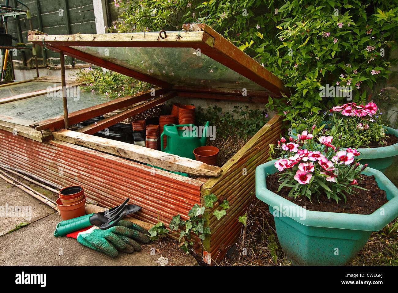 Giardinieri di telaio a freddo in giardino, utilizzati per proteggere le piantine dal gelo durante l'inverno Foto Stock