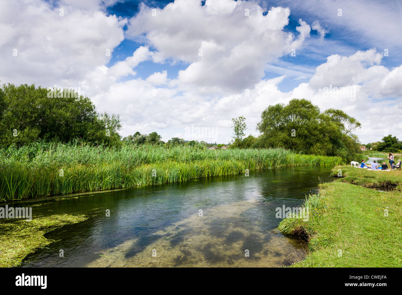 Il fiume Test a Stockbridge, Hampshire - Inghilterra Foto Stock