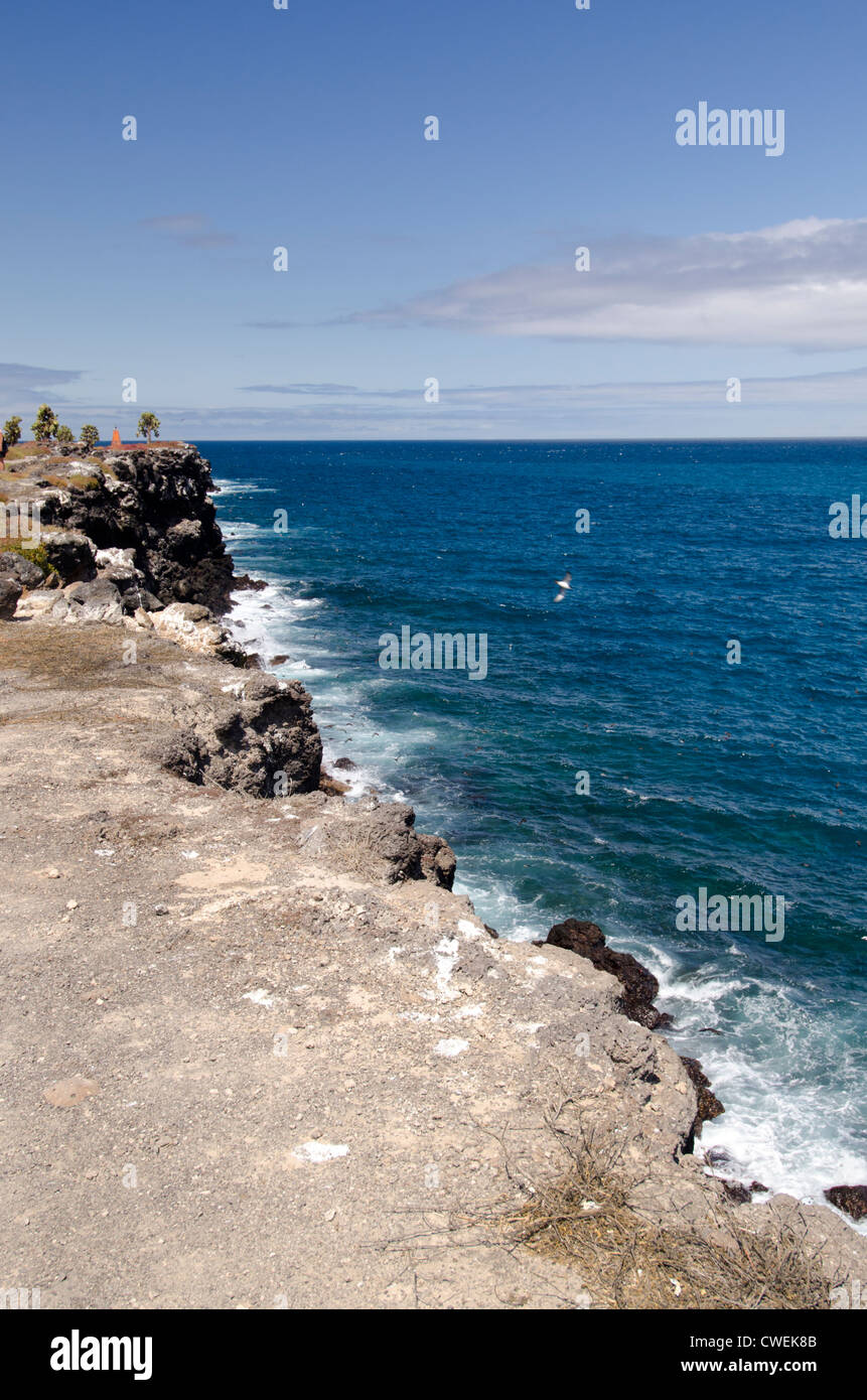 Ecuador, Galapagos, South Plaza Island. Vulcanica rocciosa costa del sud Plaza. Foto Stock