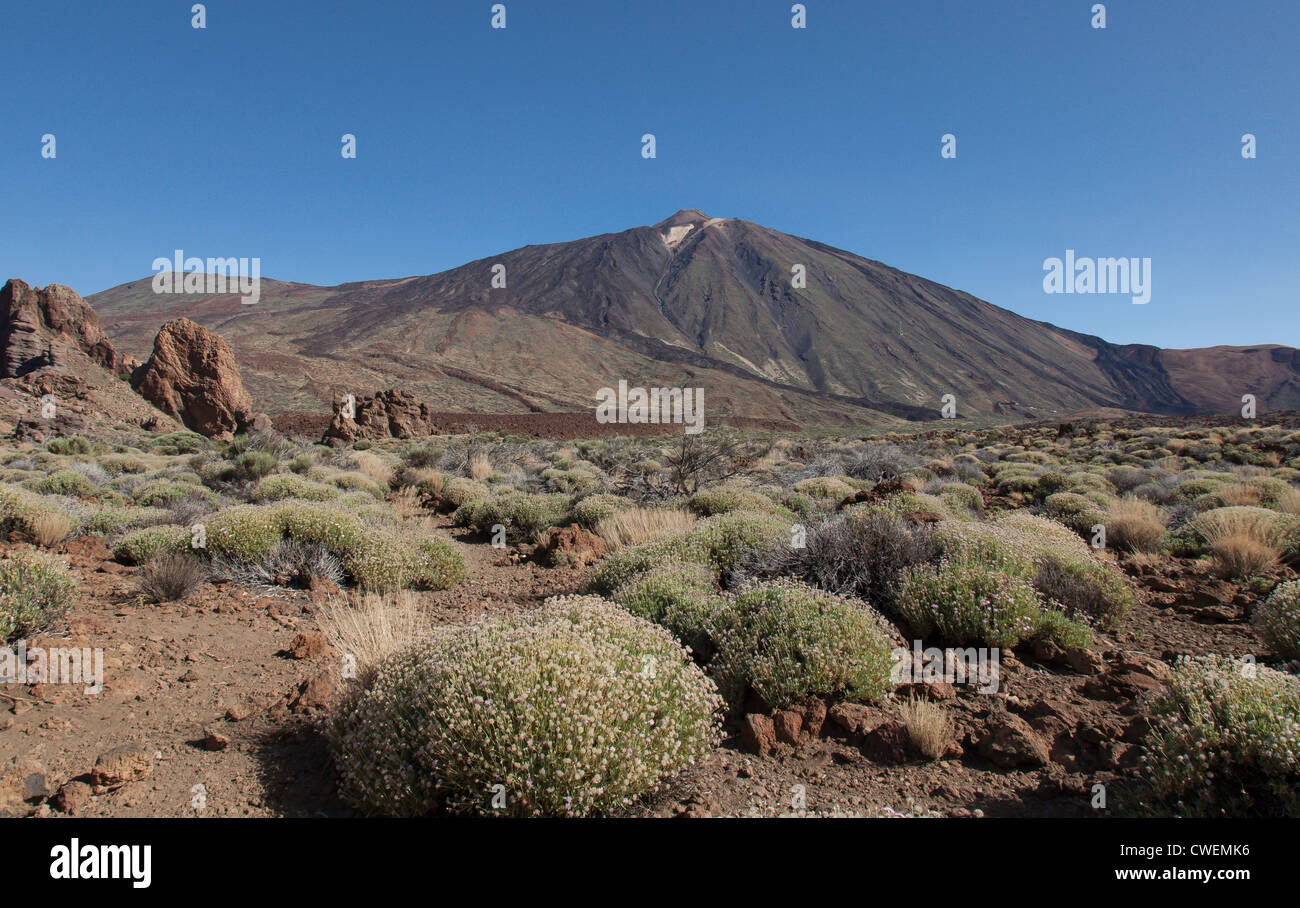 Il monte teide tenerife Foto Stock