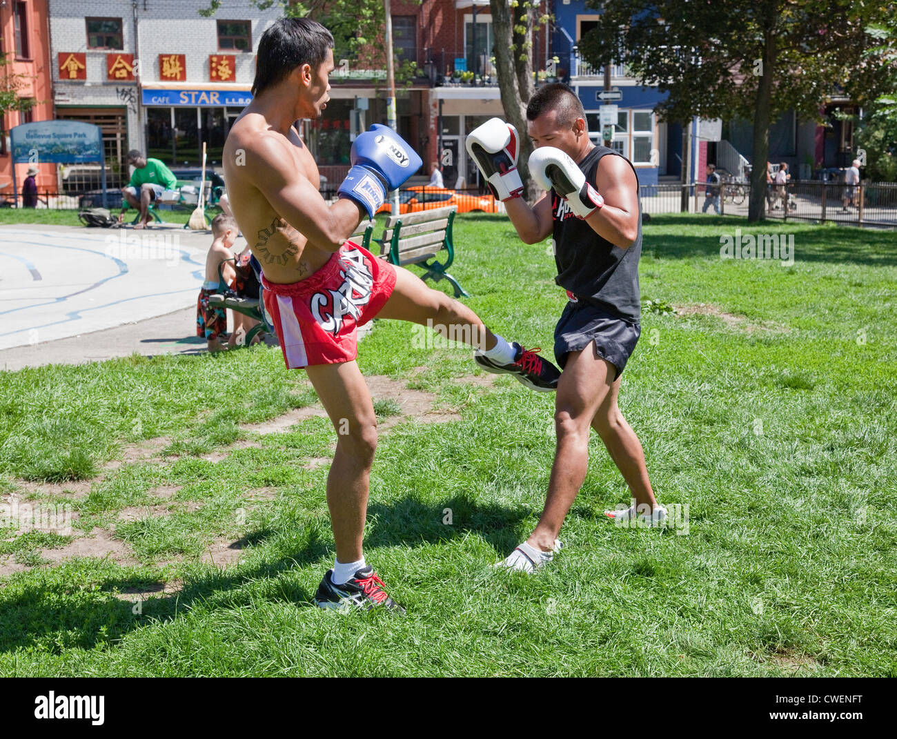 Un gruppo di giovani uomini e donne pratica all'aperto in un parco della città di Muay Thai boxing o arti marziali in Toronto;;Ontario Canada Foto Stock