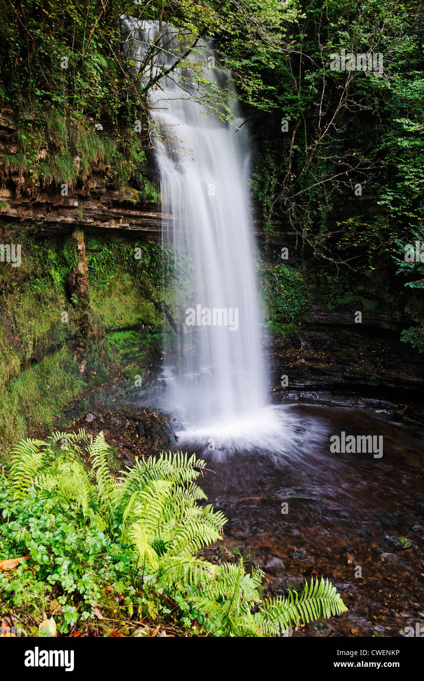 Cascata di Glencar, nella Contea di Leitrim, Connaught, Irlanda. Il poeta Yeats ha visitato e ha scritto circa questa cascata. Foto Stock