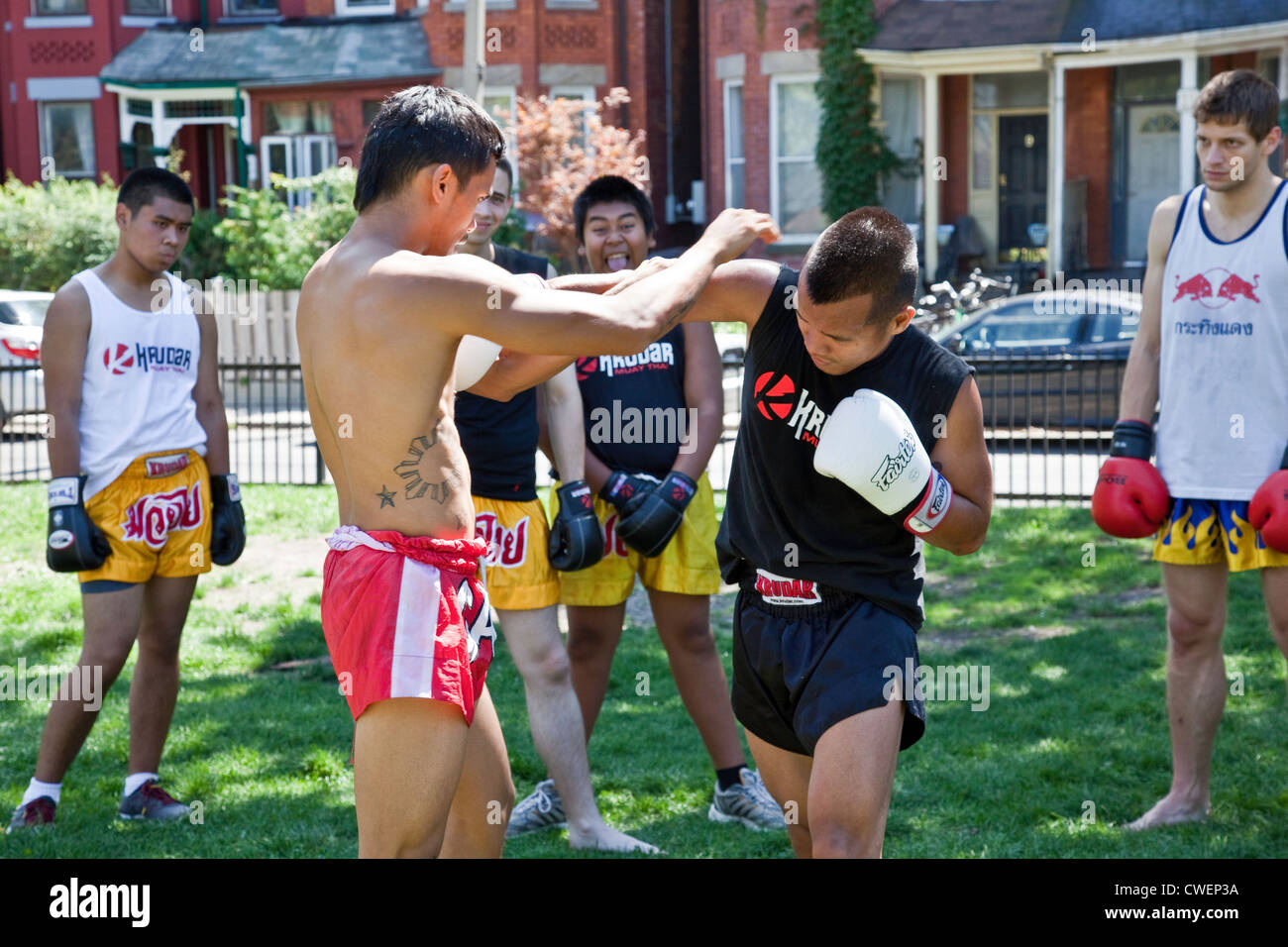 Un gruppo di giovani uomini e donne pratica all'aperto in un parco della città di Muay Thai boxing o arti marziali in Toronto;;Ontario Canada Foto Stock