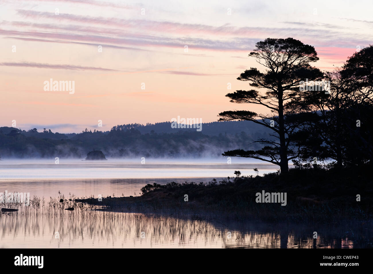 Muckross Lake all'alba. Parco Nazionale di Killarney, nella contea di kerry, munster, irlanda. Foto Stock