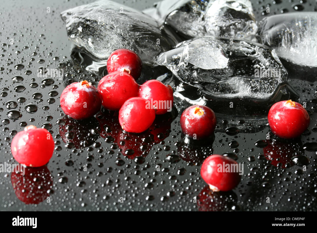 Close-up con mirtilli rossi freschi e cubetti di ghiaccio su sfondo nero Foto Stock