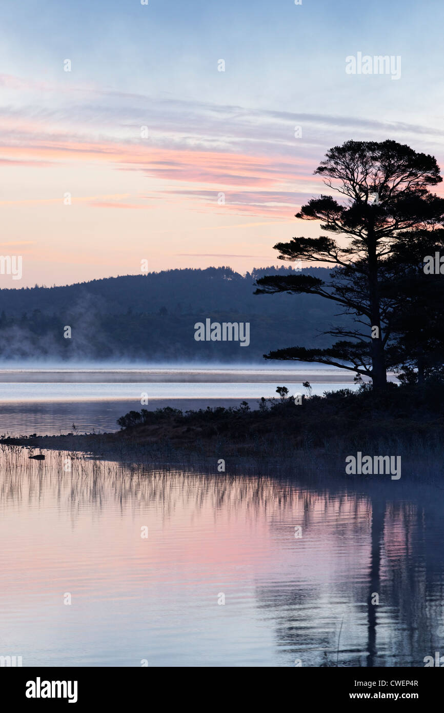 Muckross Lake all'alba. Parco Nazionale di Killarney, nella contea di kerry, munster, irlanda. Foto Stock