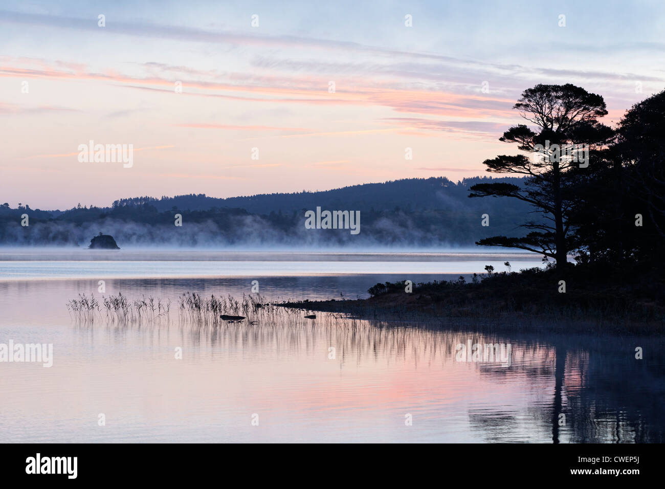 Muckross Lake all'alba. Parco Nazionale di Killarney, nella contea di kerry, munster, irlanda. Foto Stock