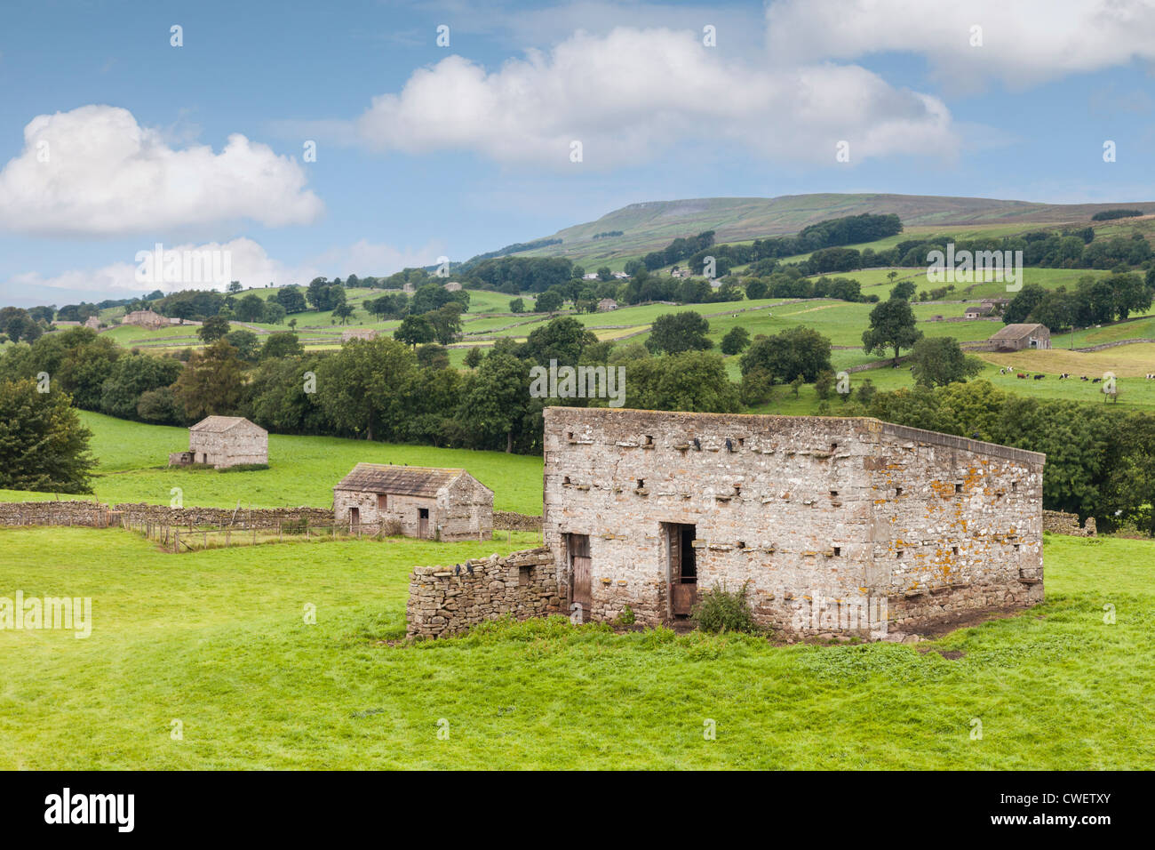 Un tipico fienile in Wensleydale, Yorkshire Dales, Inghilterra. Foto Stock