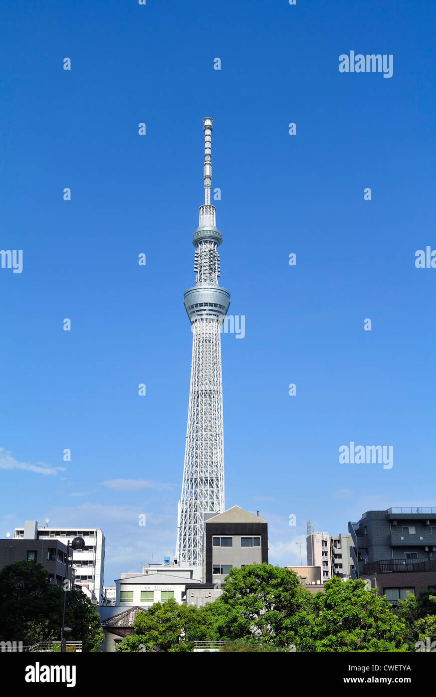 Tokyo Sky tree nel quartiere Sumida, sumida-ku, Tokyo, Giappone Foto Stock