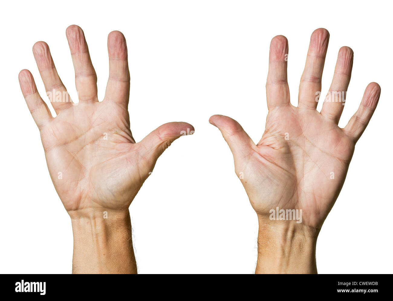 Le mani / palms isolata contro bianco Foto Stock