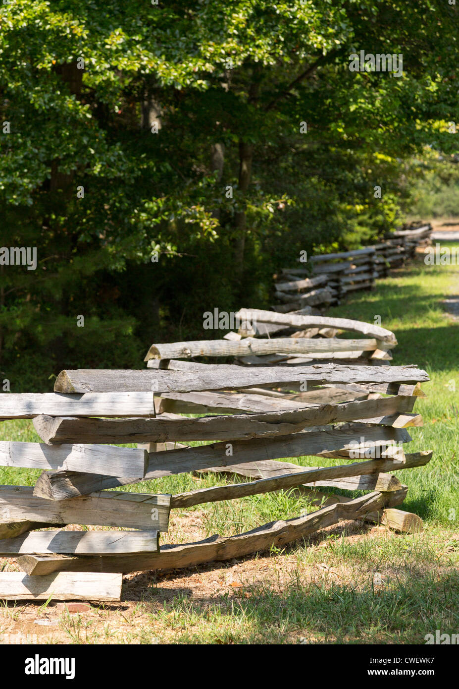 Split tradizionali cancellata dal lato del bosco o foresta Foto Stock