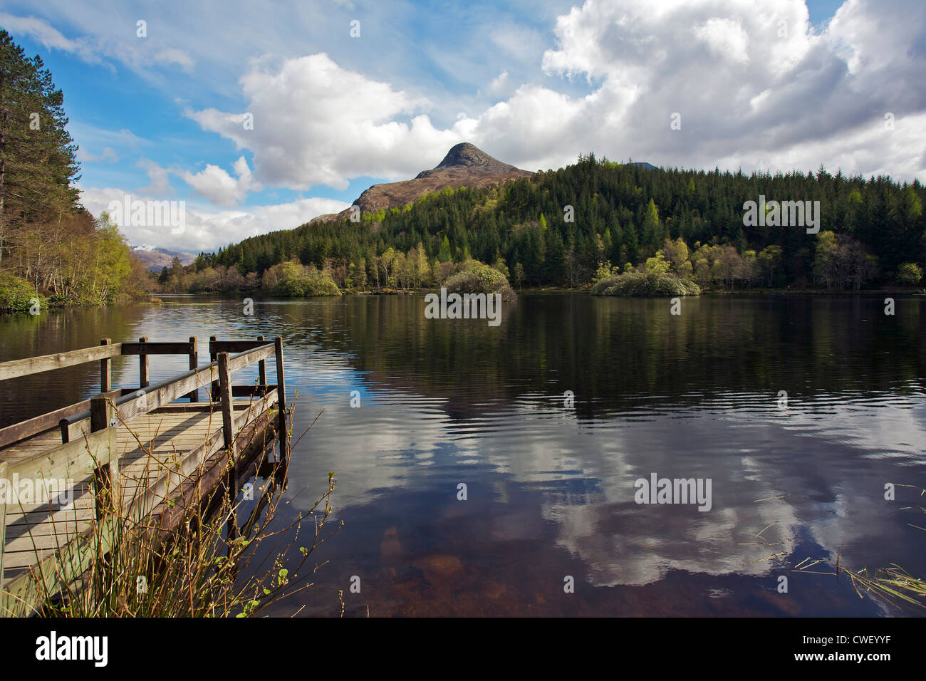 Glencoe lochan è un bel po' di foresta loch vicino al villaggio di glencoe. Foto Stock