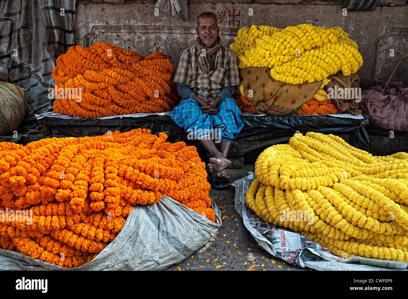 Mercante di fiori con le sue forniture di Le calendule. Mullick ghat flower market, Calcutta, West Bengal, India Foto Stock