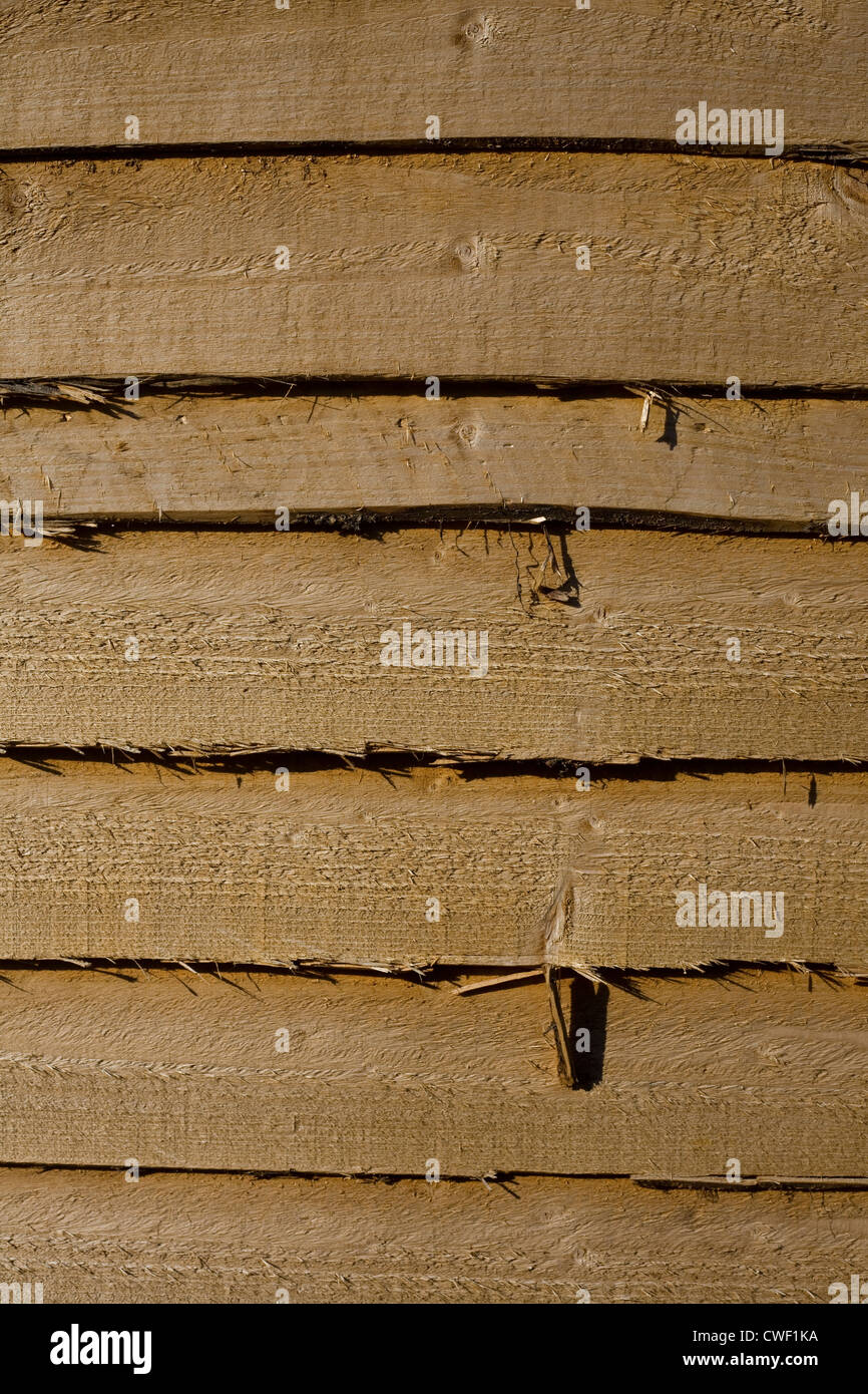 Staccionata in legno pannello con grana di legno e schegge da un sentiero a Havant, Hampshire Foto Stock