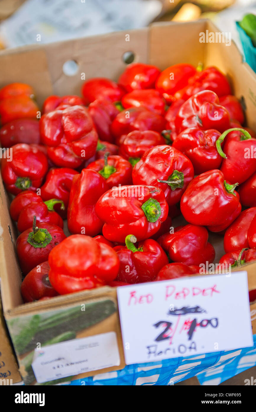 Fattoria fresco peperoni rossi per la vendita in un mercato degli agricoltori Foto Stock