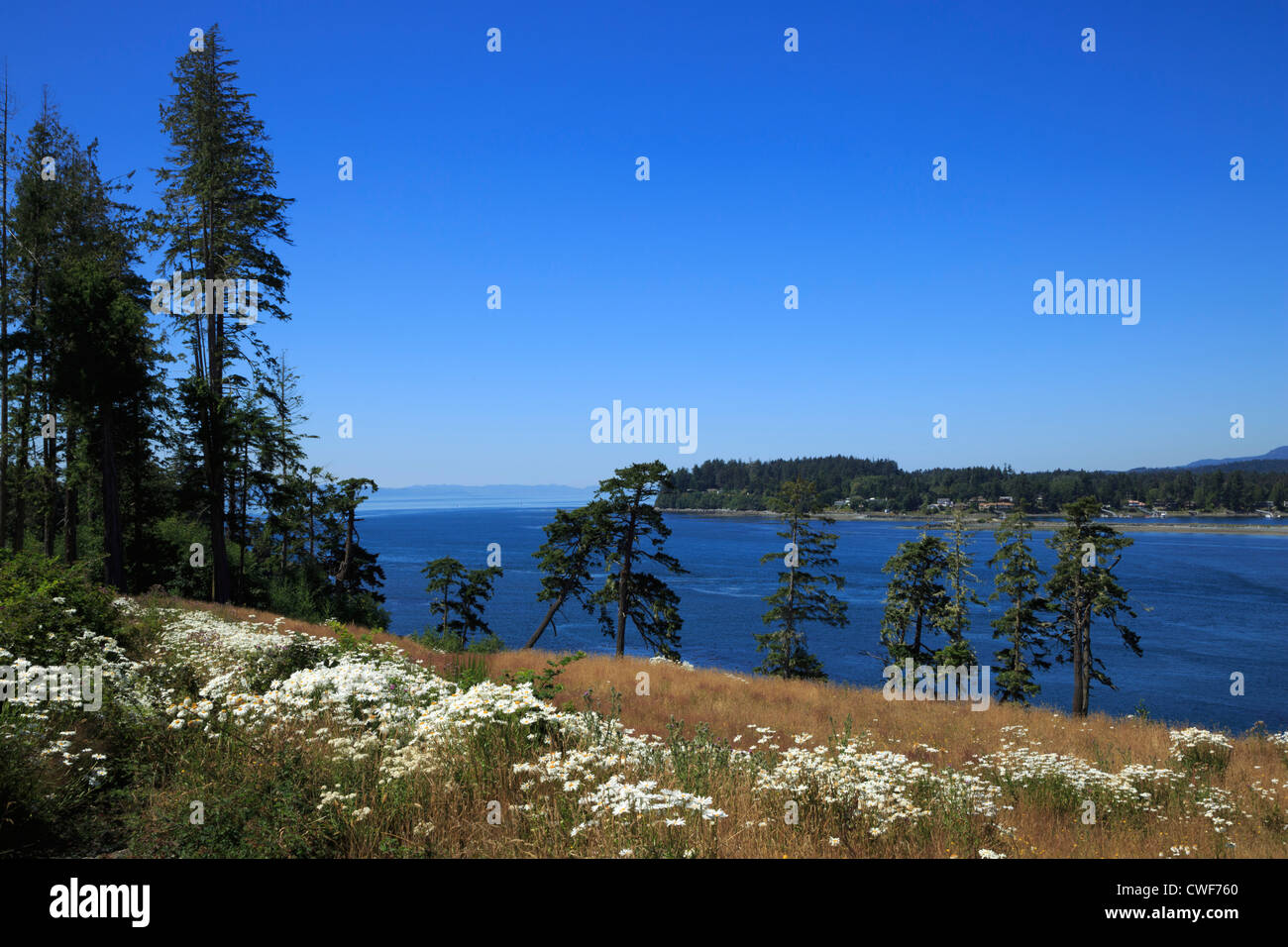 Sooke il porto e lo stretto di Juan de Fuca, British Columbia. Foto Stock