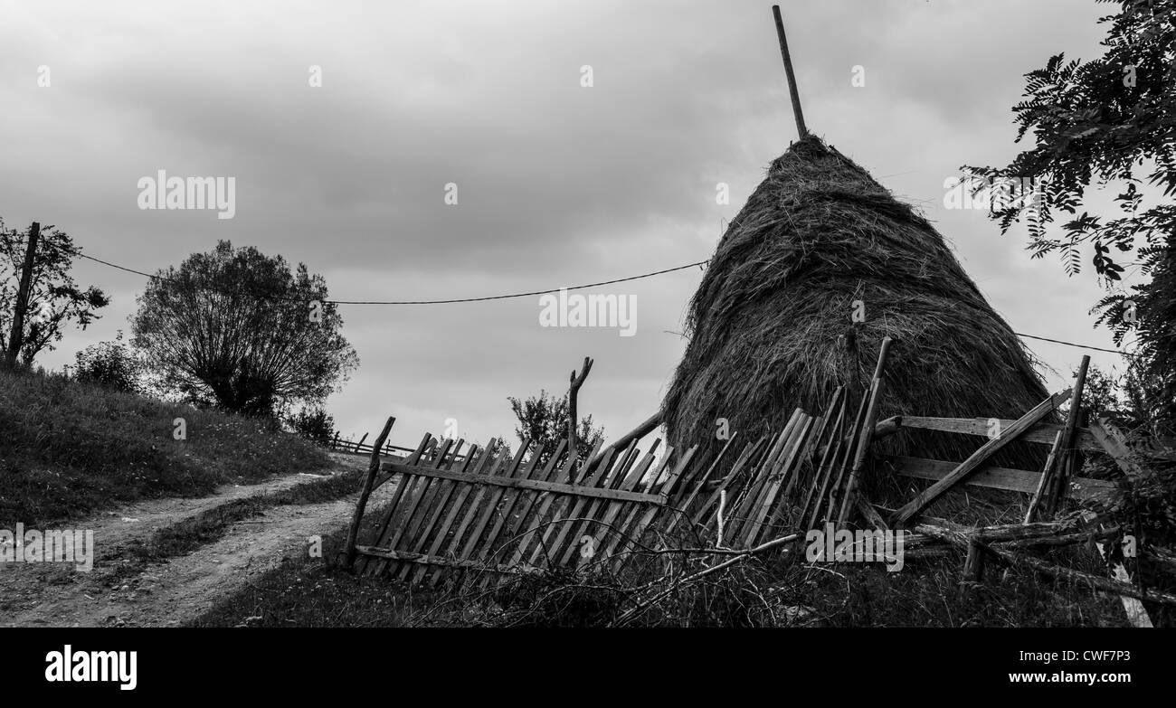 Stack di fieno e la recinzione della Romania Transilvania Foto Stock