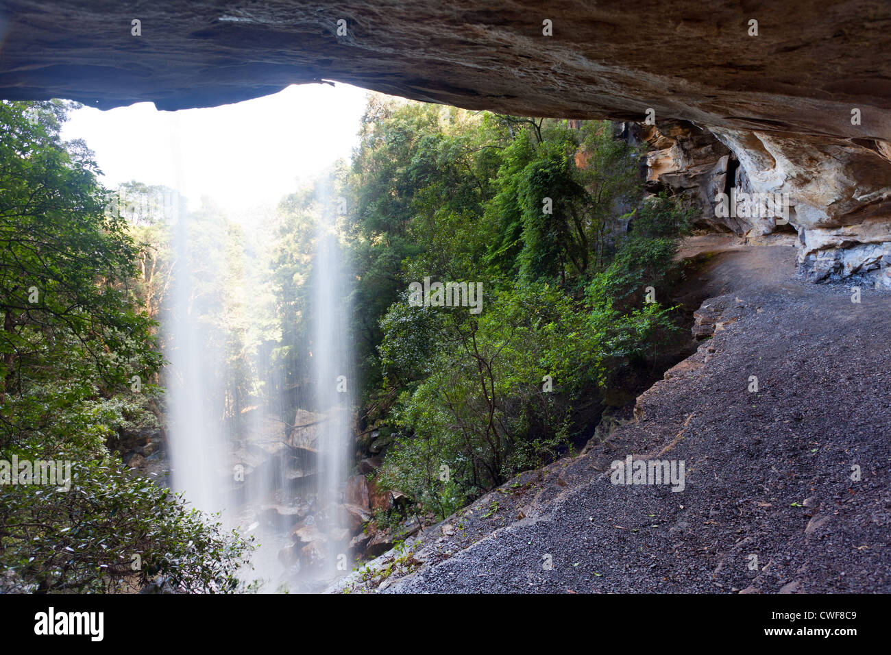 Nazionale inferiore cade la cascata nel Royal National Park, NSW, Australia Foto Stock