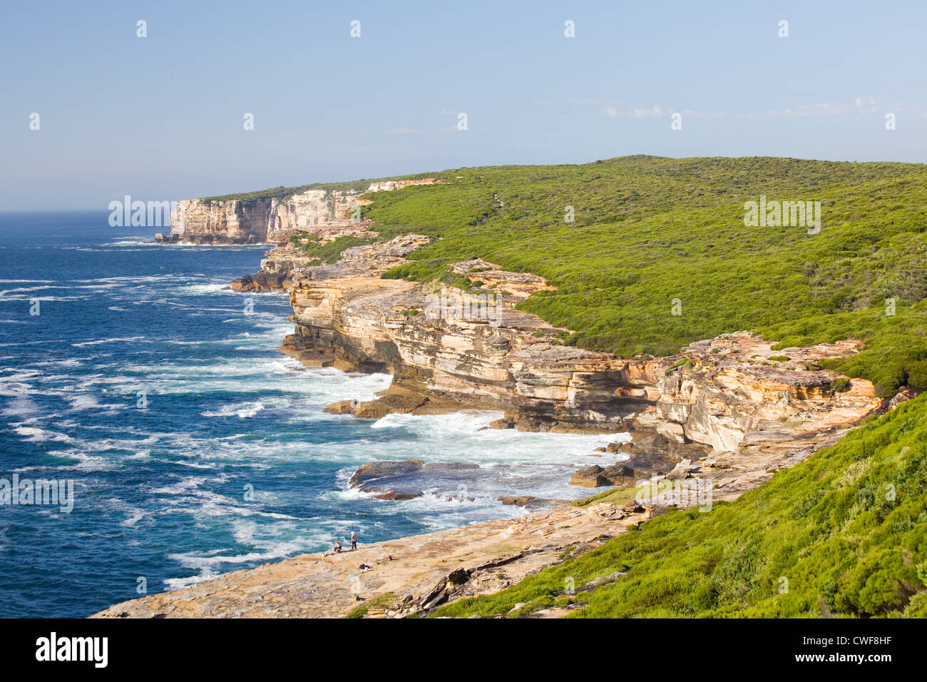 Linea costiera e delle zone costiere di heath Royal National Park, NSW, Australia Foto Stock