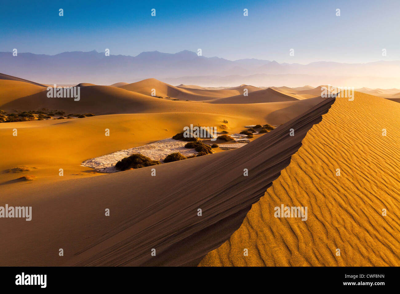Mesquite Dunes, Valle della Morte Foto Stock