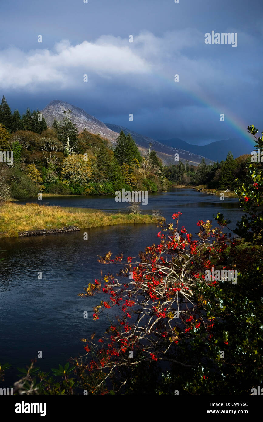 Ballynahinch Castle, Galway, Irlanda Foto Stock